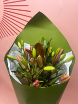 Just Lilies