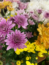 Mums for Mums