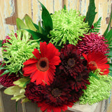 Posie Bold: F/Choice