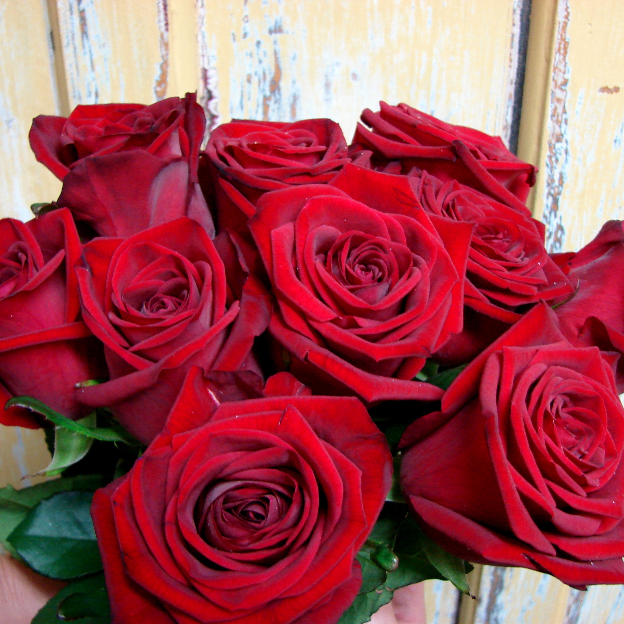 Valentines Red Roses Flowers On Pollen GST 113616245 Tax Invoice