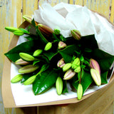 Just Lilies