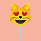 Balloon