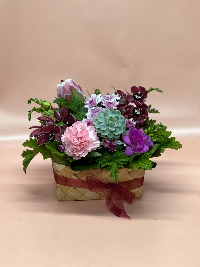 Modern Arrangement: F/Choice