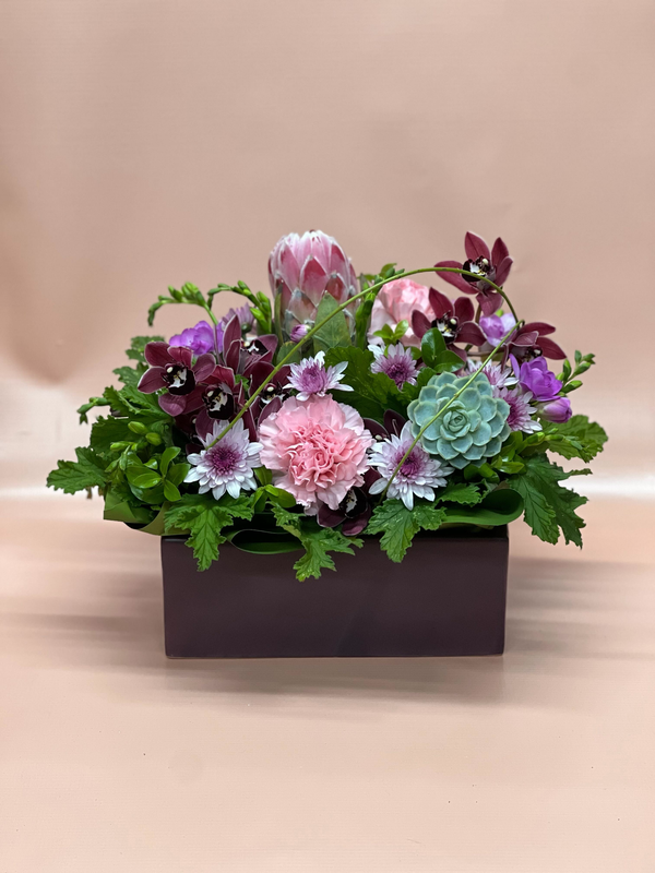 Modern Arrangement: F/Choice