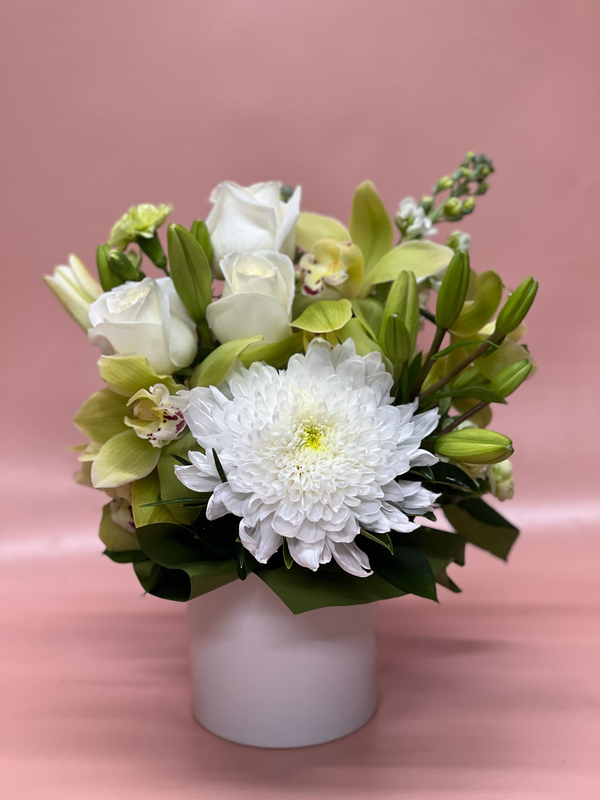 Elegant & Neutral