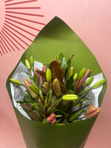 Just Lilies