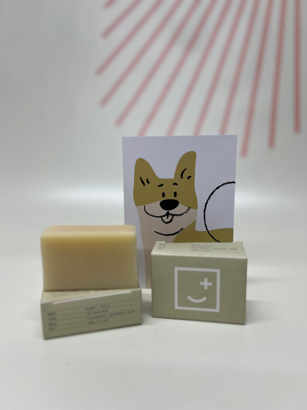 Fair + Square - Heads + Tails Pet Wash