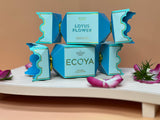 Ecoya Holiday Collection - Tin Candle Bon Bon