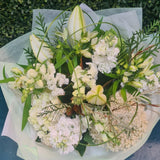 Neutral Waterbox Tribute